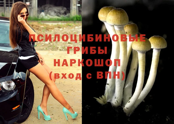 дживик Россошь
