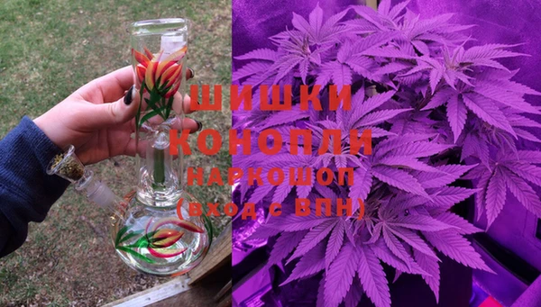 дживик Россошь
